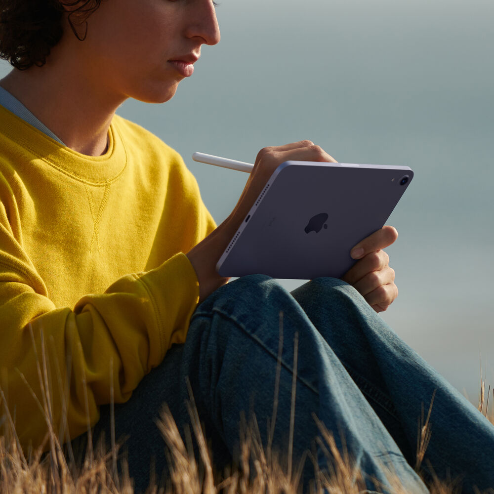 Apple iPad mini 6 (2021) Wi-Fi + 5G LTE